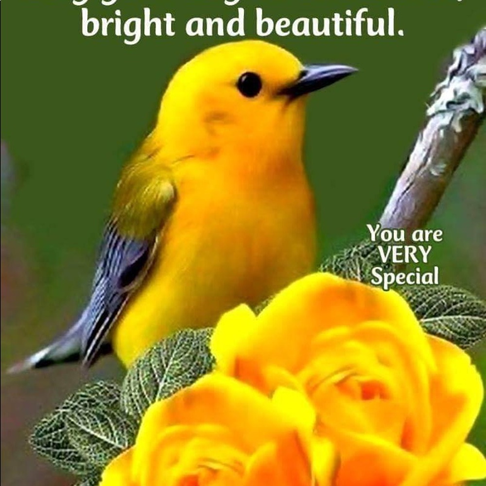 Meet your Posher, Shenika